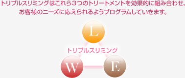トリプルスリミングはこれら３つのトリートメントを効果的に組み合わせ、 お客様のニーズに応えられるようプログラムしていきます。