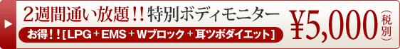 特別ボディモニター