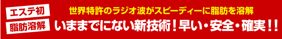 エステ初脂肪溶解。世界特許のラジオ波がスピーディに脂肪を溶解。いままでにない新技術！早い・安全・確実！！