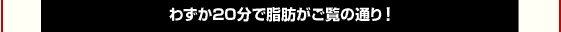 わずか２０分で脂肪がご覧の通り！