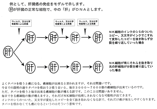 （例）肝臓癌の発症モデル