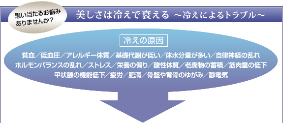 思い当たるお悩み ありませんか？美しさは冷えで衰える ?冷えによるトラブル? 冷えの原因 貧血／低血圧／アレルギー体質／基礎代謝が低い／体水分量が多い／自律神経の乱れ
ホルモンバランスの乱れ／ストレス／栄養の偏り／酸性体質／老廃物の蓄積／筋肉量の低下
甲状腺の機能低下／疲労／肥満／骨盤や背骨のゆがみ／静電気
 