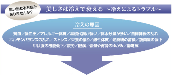 思い当たるお悩み ありませんか？美しさは冷えで衰える ?冷えによるトラブル? 冷えの原因 貧血／低血圧／アレルギー体質／基礎代謝が低い／体水分量が多い／自律神経の乱れ
ホルモンバランスの乱れ／ストレス／栄養の偏り／酸性体質／老廃物の蓄積／筋肉量の低下
甲状腺の機能低下／疲労／肥満／骨盤や背骨のゆがみ／静電気
 