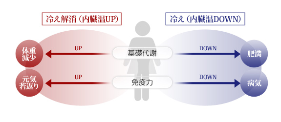 冷え解消（内臓温UP）冷え（内臓温DOWN）基礎代謝UP→体重減少　基礎代謝DOWN→肥満　免疫力UP→元気若返り　免疫力DOWN→病気