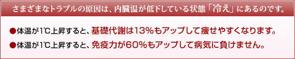 さまざまなトラブルの原因は、内臓温が低下している状態「冷え」にあるのです。●体温が1℃上昇すると、基礎代謝は13%もアップして痩せやすくなります。 ●体温が1℃上昇すると、免疫力が60%もアップして病気に負けません。