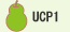 UCP1