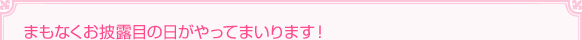 まもなくお披露目の日がやってまいります!