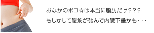 おなかのポコ☆は本当に脂肪だけ？？？もしかして腹筋が弛んで内臓下垂かも・・・