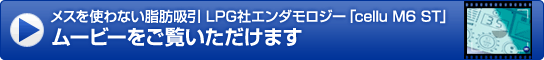 ムービーをご覧いただけます